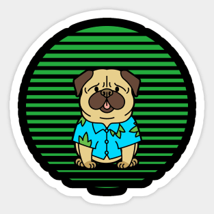 Funny Pug Sticker
